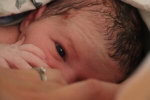 copia di copia di copia di img 20240710 wa0034