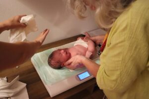 copia di img 20240710 wa0035